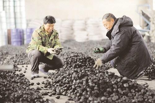 型煤粘合剂分类
